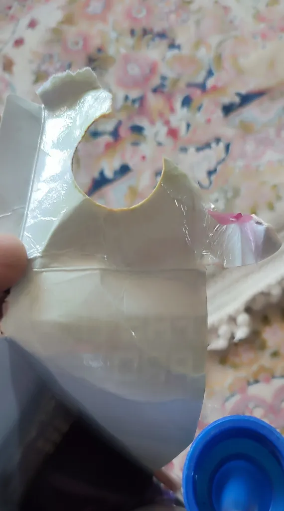 اکتان بوستر و مکمل سوخت خودرو بنزینی فستر پرو مدل 300 حجم 300 میلی لیتر