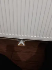 تجریه خرید پایه رادیاتور چی‌چِست مدل ایفل