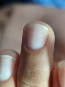 تجریه خرید لنز کلیپسی موبایل اپیکسل مدل APL-0.45WM