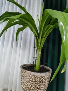 تجریه خرید قیم نگهدارنده گیاه مدل ایستا 60