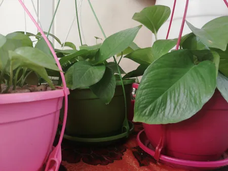 گلدان آویز شهرآذین مدل 5020 مجموعه سه عددی