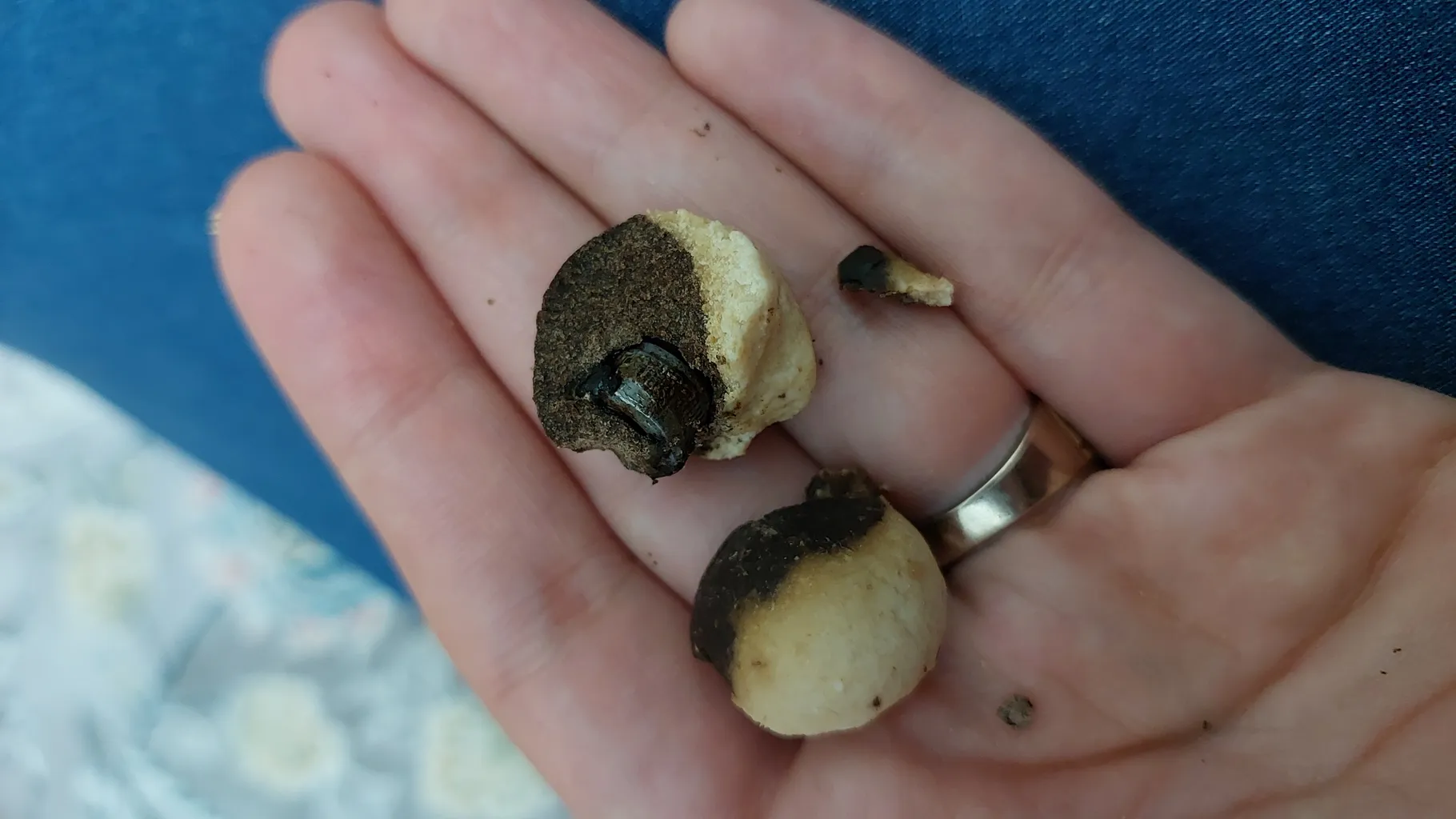 کشک قره قروتی سرمد - 500 گرم بسته 2 عددی