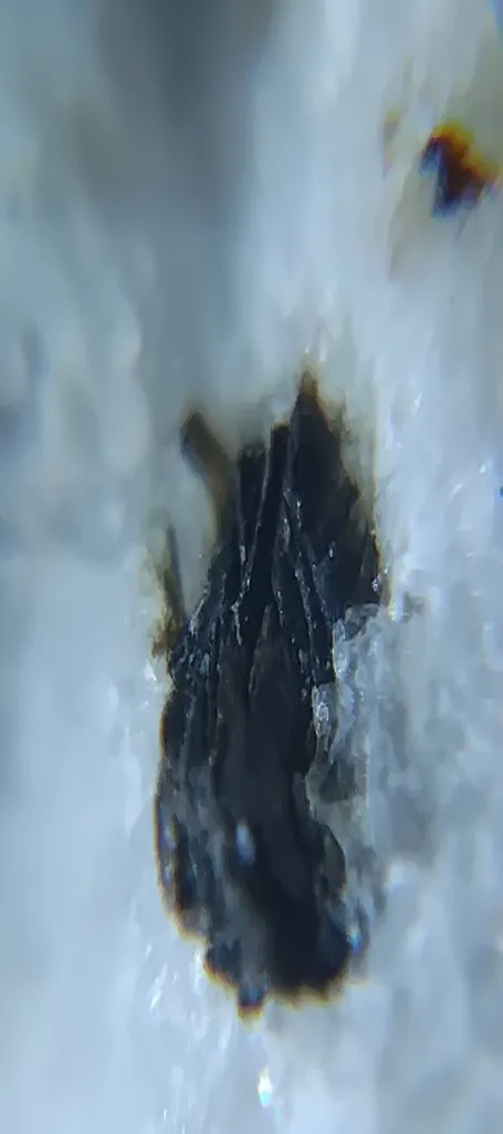 ذره بین یونیورسال مدل 60X