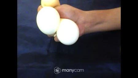 فیجت مدل همبرگر خامه ای کد sh-2021