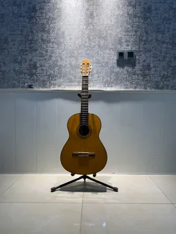 پایه گیتار سناتور مدل Afiee