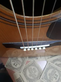 سیم گیتار آکوستیک ارنی بال مدل EarthWood