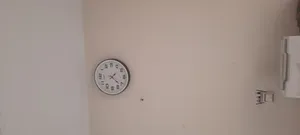 تجریه خرید ساعت دیواری سیکو مدل WESTAR