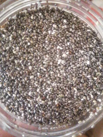 دانه چیا ممتاز سرمد - 540 گرم