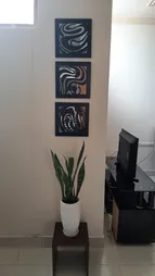 آینه دکوراتیو سالی وان C5