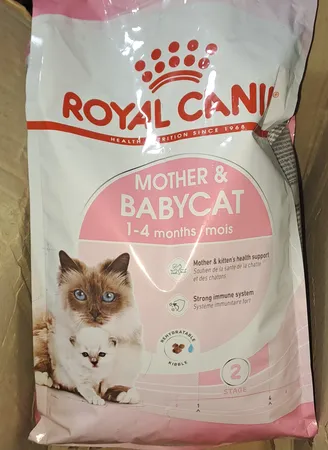 غذا خشک گربه رویال کنین مدل mother and baby وزن 2 کیلوگرم