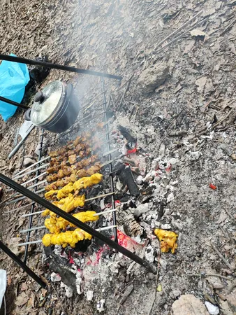 استند و ساج سفری مدل درخشان به همراه گریل