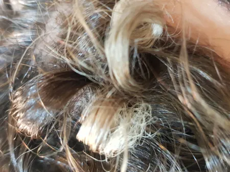 بیگودی مو مدل فومی بسته 10 عددی