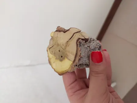 نمک پاش طرح تنه درخت