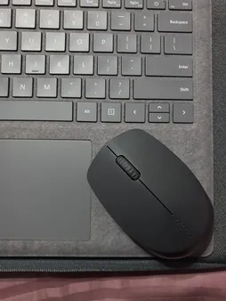 ماوس بی سیم رپو مدل M100 Silent