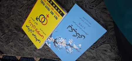 کتاب ایکیگای اثر فرانسس میرالس و هکتور گارسیا انتشارات آیین محمود