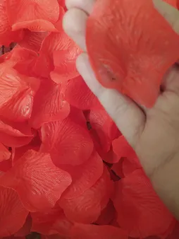 گلبرگ گل مصنوعی شیک و تک مدل DSH 104