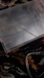 ریسه ال ای دی مفتولی کد 100LED طول 10 متر