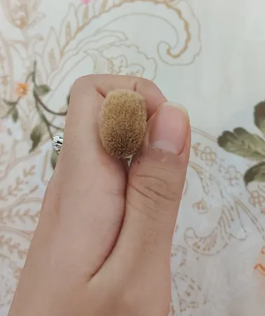 برس آرایشی جویل مدل GBS-1011