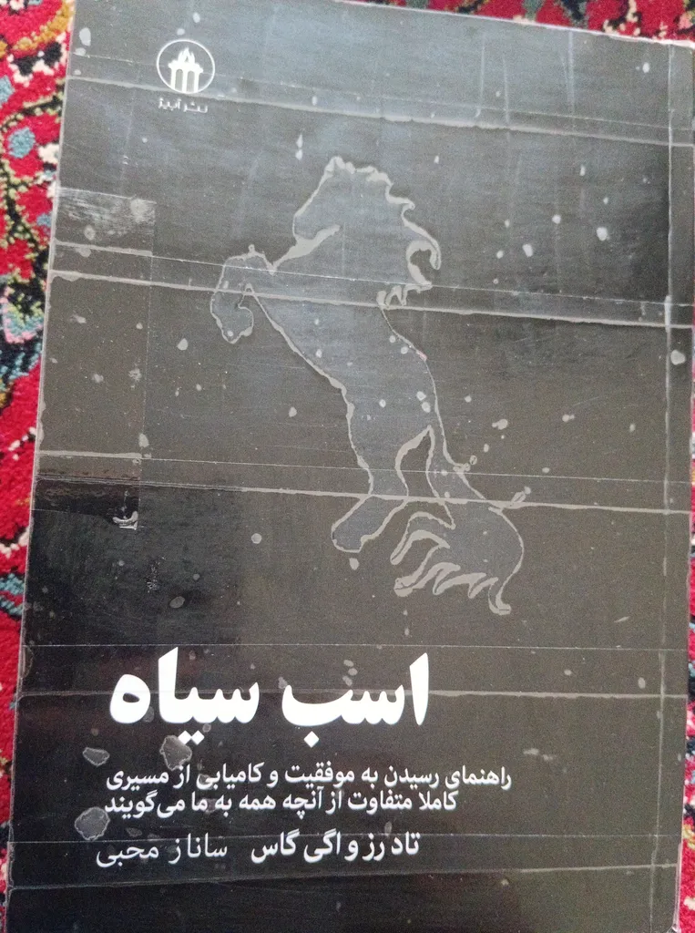 کتاب اسب سیاه اثر اگی اگاس انتشارات آیین محمود