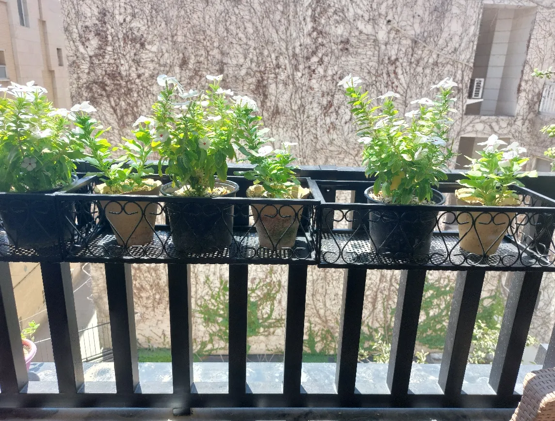 استند گلدان دکومرآت مدل بالکنی طرح قلب