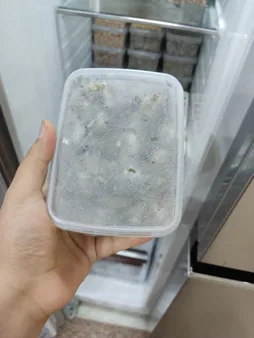 ظرف نگهدارنده مدل AS 764 بسته 15 عددی