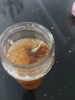 عسل بکر شاهگل گودکرت - 1000 گرم