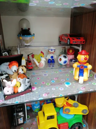 ارگانایزر دومان کد D435