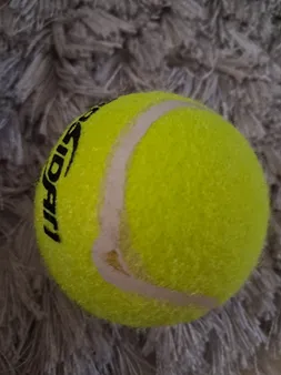 توپ تنیس کد 102
