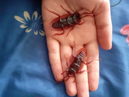 ابزار شوخی مدل سوسک کد shb16