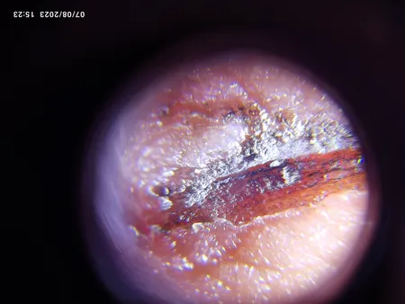 میکروسکوپ جیبی مدل 9592