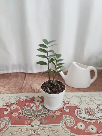 گلدان شهرآذین مدل 1500