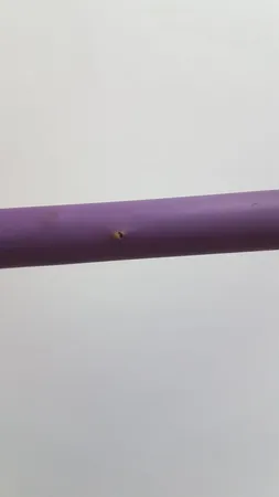 کش ورزشی تن زیب مدل SuperStrong200