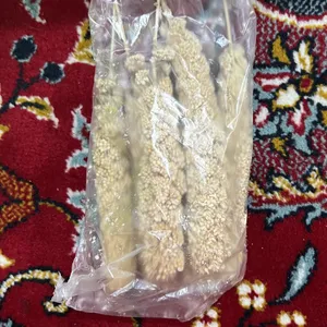 تجریه خرید غذای پرنده مدل ارزن خوشه ای کد 20104 بسته 5 عددی