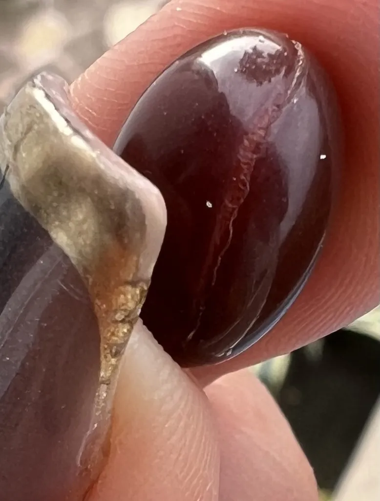 کپسول کوآنزیم کیوتن 100م نورم لایف بسته 30 عددی