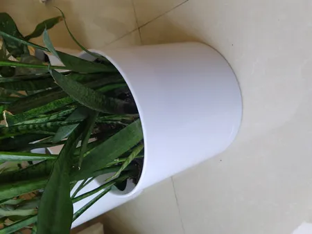 گلدان مدل استوانه ای مهر و ماه کد 804