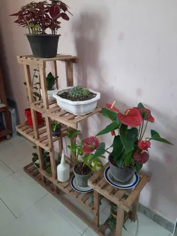 استند گلدان مدل 208