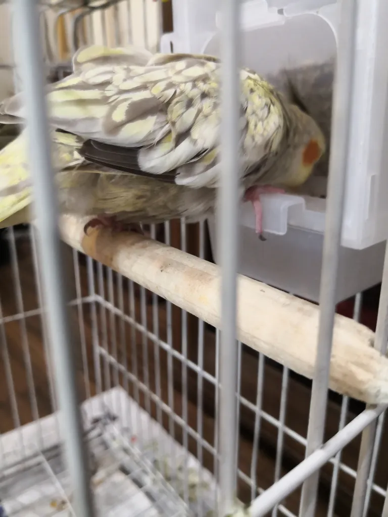 ظرف دانه مکانیزه کد 001