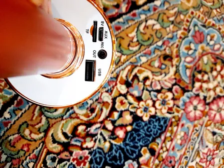 میکروفون اسپیکر بلوتوثی اسمارت بری مدل WS-858