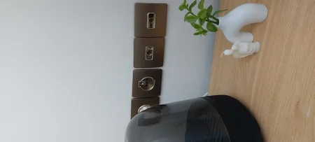 کلید تک پل صنایع آسیا الکتریک مدل کریستال BEI-GLD