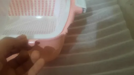 جا نانی لیمون کد dlm04