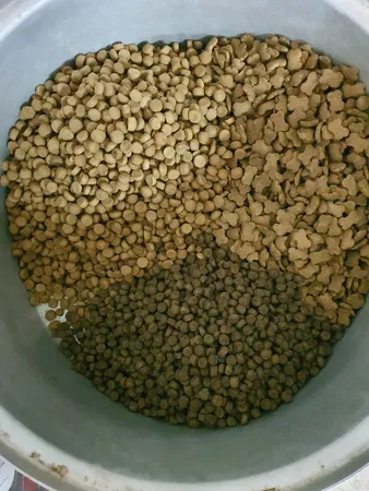 غذای خشک سگ آروماتیش مدل طعم مرغ وزن 2 کیلوگرم