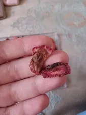 تجریه خرید توت فرنگی خشک شده زرنگاران - 100 گرم