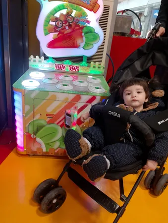 کالسکه دلیجان مدل دیبا پلاس