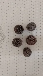 میوه تزیینی درخت کاج کد 62 مجموعه 5 عددی