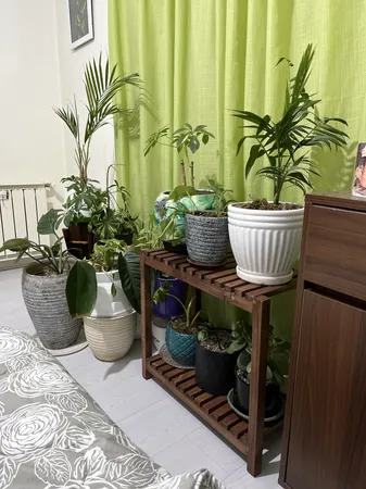 استند گلدان مدل 65