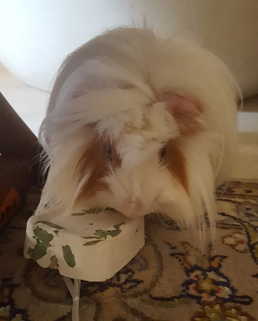 سنگ کلسیم جوندگان فردی مدل Gnawng S وزن 80 گرم