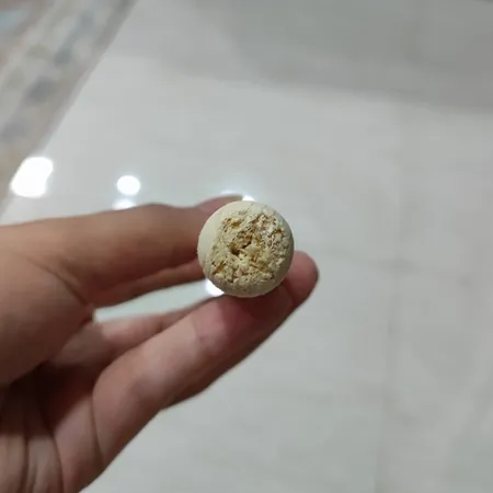 ساز چوبک فروزنده مدل P2