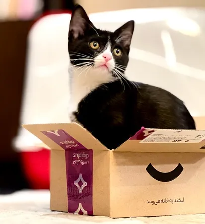 کنسرو غذای گربه گورمت مدل پته گوشت گاو وزن 85 گرم