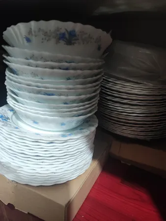 پیش دستی پارس اُپال مدل M120 بسته 6 عددی