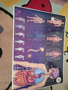 تجریه خرید پوستر آموزشی اندیشه کهن مدل جدول ضرب کد 700